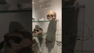 Indian Museum kolkata