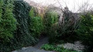 #The boring Garden (Christmas edition 2025) #065