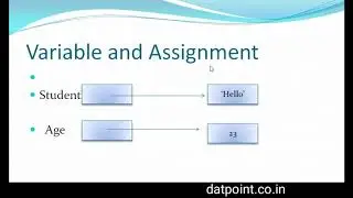 variable and assignment in python