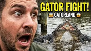 Feeding Time Gone Wrong! Alligator Fight Caught on Camera  at Gatorland😱🐊