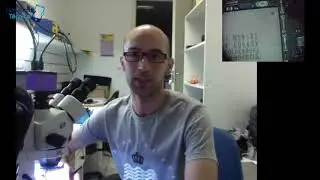 Curso microeletr&ocirc;nica conserto placa iPhone e iPad online ao vivo