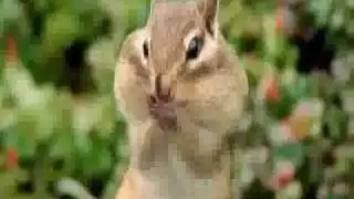 Jonowl's Best of BBC One