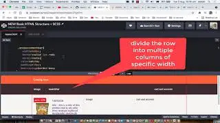 HTML CSS Basics  | Full width bar, Flex children width, absolute and relative position