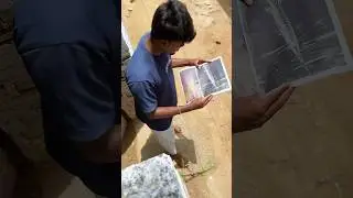 🐊Alligator வாங்கலாமா வேண்டாமா🤯#tamil #vlog #aligators #aligatorfish #aligatorgar #petscorner #yt