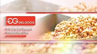 Spicy Peanuts Processing Equipment / Peanut Frying Machine