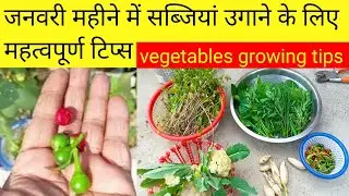 गर्मी की सब्जियां कैसे लगाएं कुछ जरूरी बातें ध्यानरखें/ Important Tips For Growing Summer Vegetables