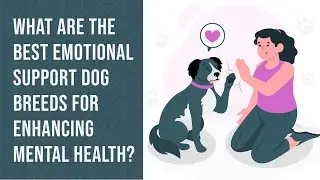 The Best Emotional Support Dog Breeds For Mental Health