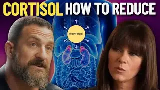How To Reduce Cortisol Levels: Top 3 Natural Supplements for Cortisol Detox From Dr Huberman