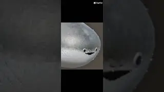 sacabambaspis introduction #trending #edit #comedy #sacabambaspis #meme #fish