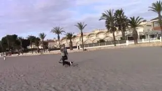 Abby, Strandspiele (1)