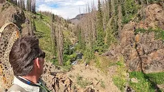 BACKCOUNTRY HIKE to a remote stream full of RARE and NATIVE trout based on a tip from a stranger!