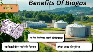 Top 5 Incredible Benefits of Biogas | Sustainable Energy & Environmental Impact Explained