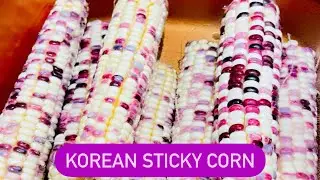 KOREAN STICKY CORN || 4 INGS. GINATAANG MAIS ala MRS. G #koreancorn #corn #lavendercorn