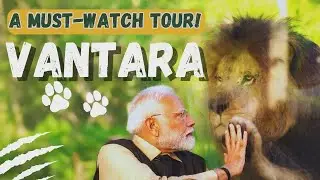 PM Modi inaugurates Vantara in Jamnagar, Gujarat #wildlife #tiger #nature