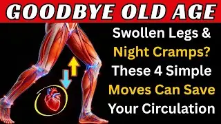 Doctors Warn Poor Leg Circulation Causes Silent Blood Clots&mdash;Do This Daily | Health Fact 10M
