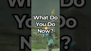 WHAT TO DO after FINISHING Tears of the Kingdom!