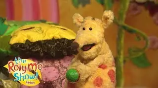 Roly Mo Show - Sports Day | Full Episodes | Videos For Kids | The Fimbles & Roly Mo Show