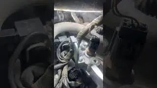 Montero sport Mitsubishi water air bleeding location