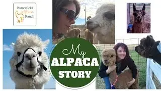 Tashia's Alpaca Story