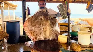 Amazing Stingray Fish Cutting Skills in Local Fish Market!