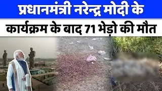 Lucknow News : कार्यक्रम मे बचा सड़ा खाना खाने से 71 भेड़ो की मौत | Sheep Death | UP News