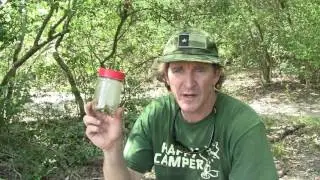Grasshopper: Tastes Like Chicken
