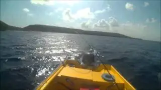 Catch of the day: dradu at Curacao