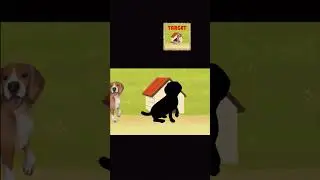 #try to stop dog#