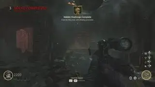COD WW2 Zombies Shadowed Throne | Down The Sights Hidden Challenge!