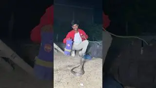 खतरनाक कोबरा रेस्क्यू 🐍