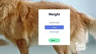 Tails.com- 30 sec