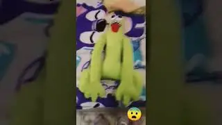 melon melon melon estra tereste melon haaaaa tobala casa mame