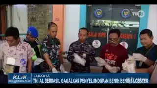 TNI AL gagalkan penyeludupan benih lobster