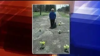 Engineer not amused by pothole planters