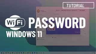 Windows 11: Find Wi-Fi password on your PC (4 Easy Methods ✅ 2024)