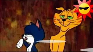 MACARENA...MACARENAAA