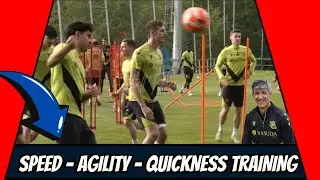 Speed - Agility - Quickness Training by Imanol Alguacil