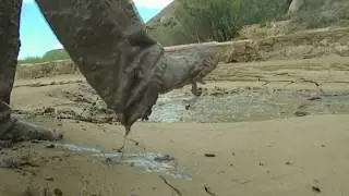 074b-From Quicksand To Mud, Part 2
