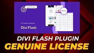 Download Divi Flash Pro Plugin With License Key With Auto Update || HelloGPL