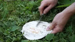 How to make a Birch Bark Cup