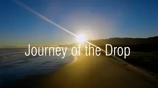 Journey of the drop