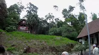 Chemerong