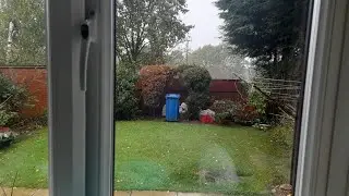 Rain Encore ASMR is live