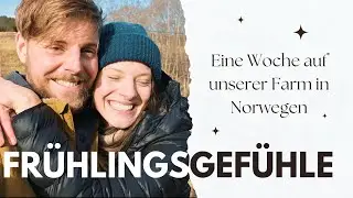 Paradies? Was uns hier wirklich stört 🙅‍♀️ I Unser Leben in Norwegen I Folge 24