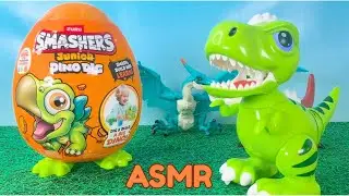 ASMR 🥚 Smashers Jr Dino Dig! Build Your Own Stegosaurus Surprise Egg | No Talking