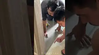 Transform Your Home with TIMBERTEK