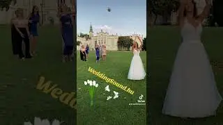 www.weddingsound.hu - Dj. Emil - Wedding Party