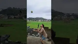 Farming Reels 💐 🌳 #farming #reels #dailyshorts #viralshorts  #funny #nature #ideas