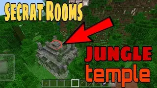 The secret room in jungle temple (Minecraft)