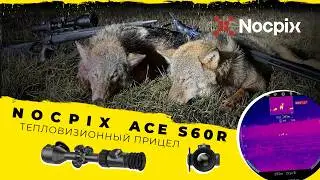 This is the scope you were definitely missing! NOCPIX ACE S60R review: the scope has passed the t...